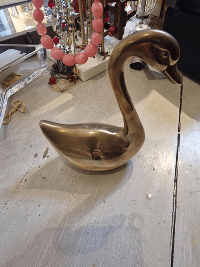 Canard laiton 