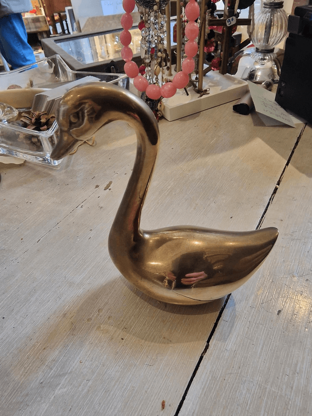 Canard laiton 